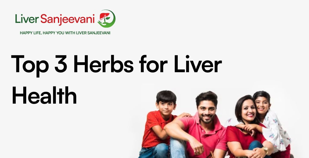 Top 3 Herbs for Liver Health - Liver Sanjeevani