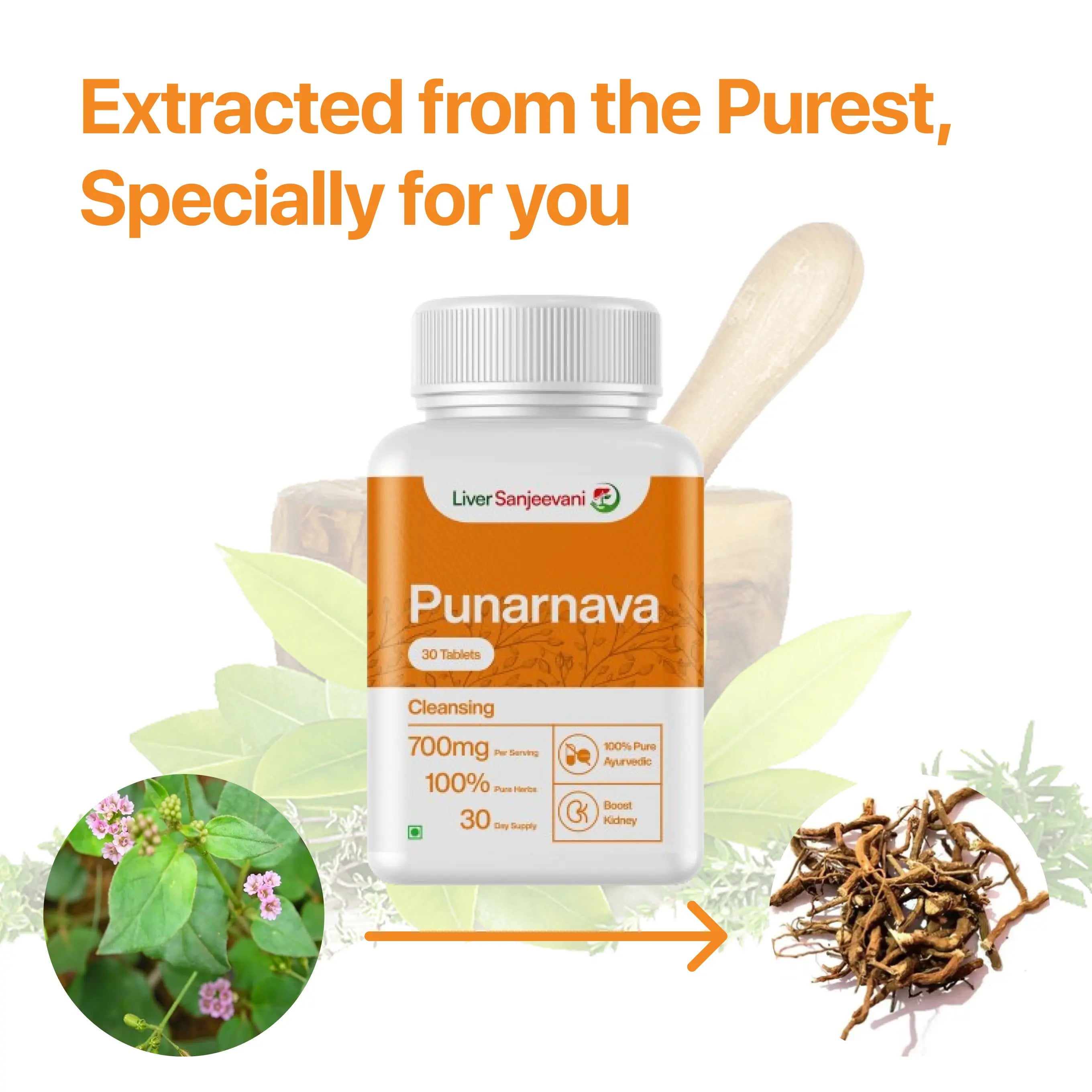 Punarnava Ayurvedic Supplement with 650mg Herbs Extract | 30 tablets | INDIA ONLY