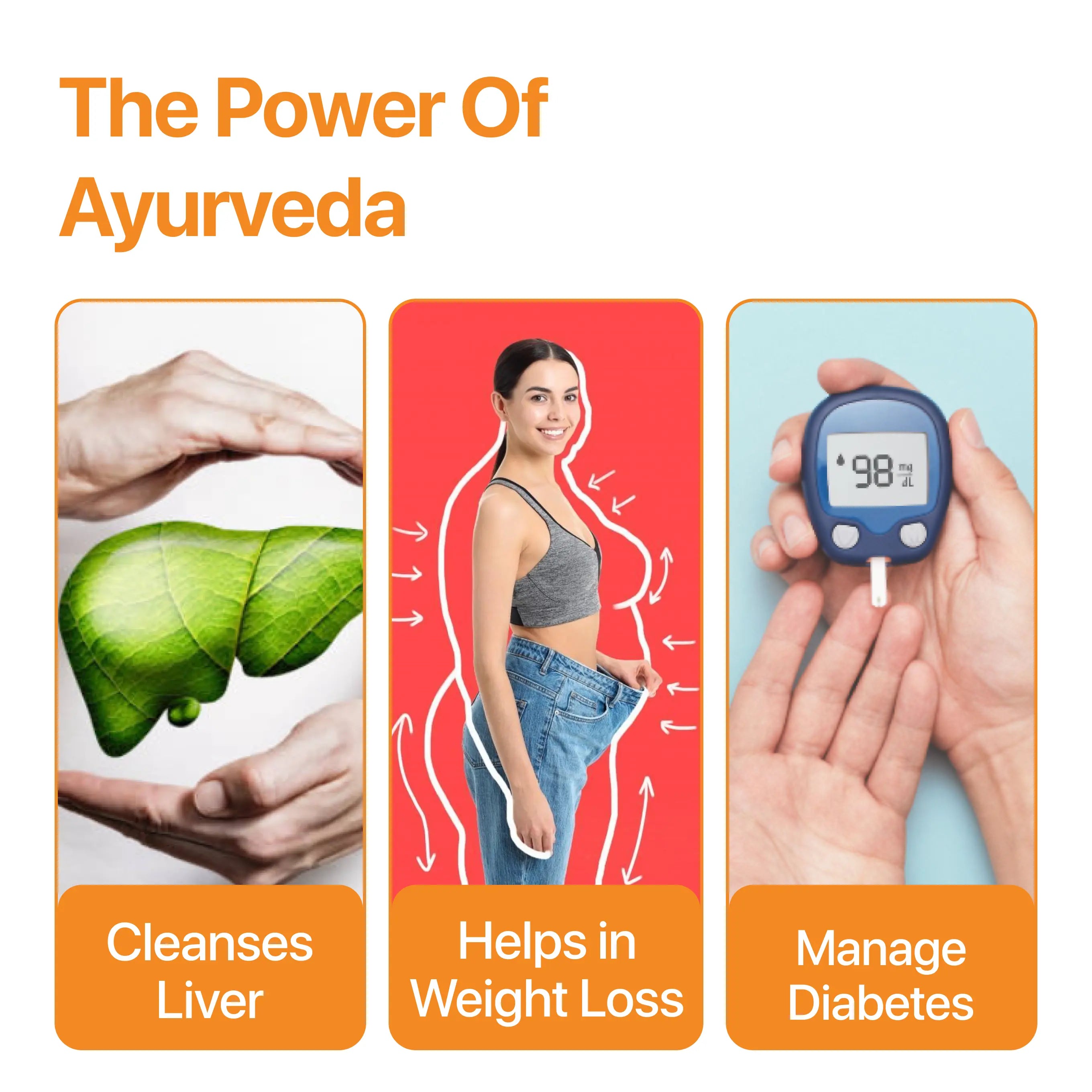 Punarnava Ayurvedic Supplement with 650mg Herbs Extract | 30 tablets | INDIA ONLY