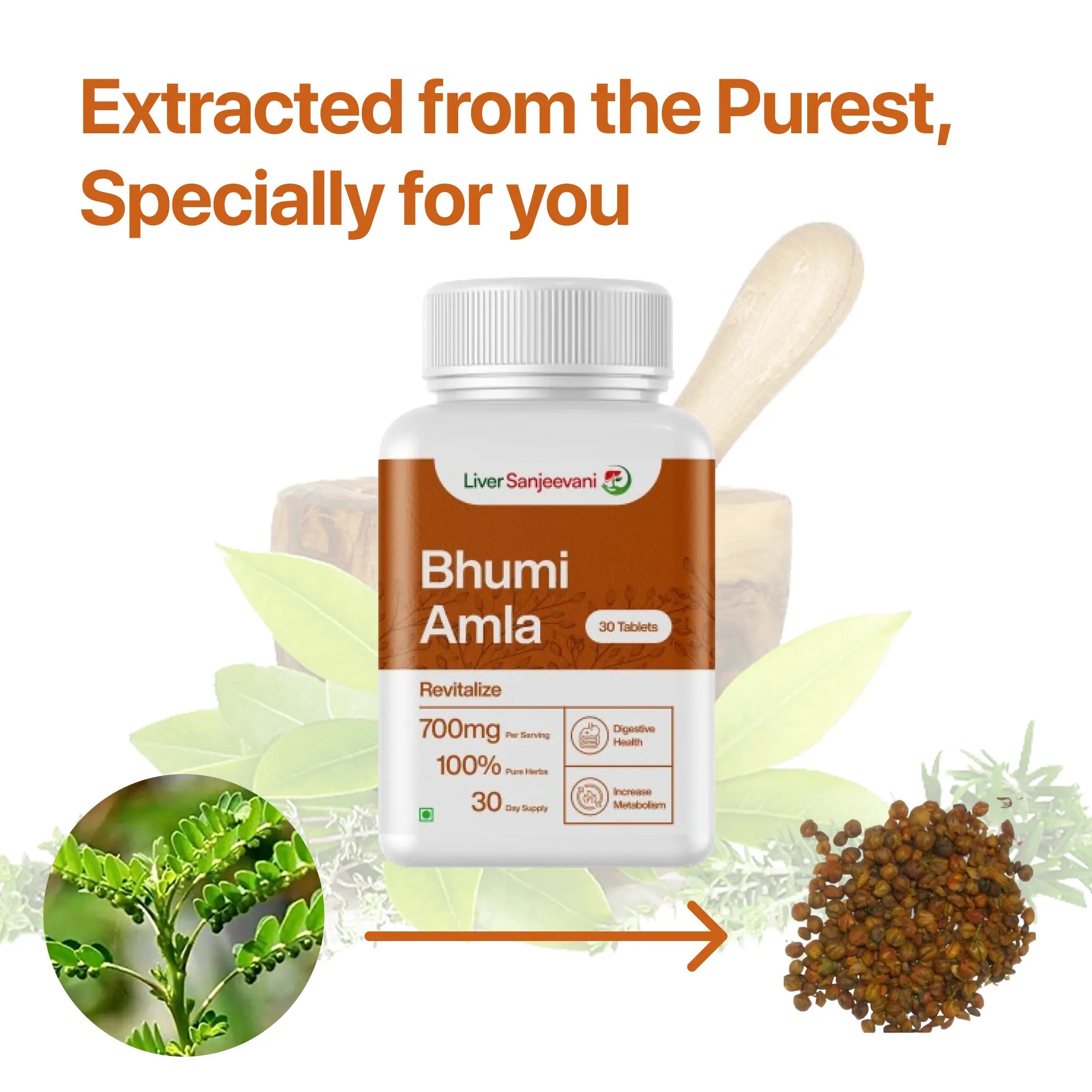 Liver Sanjeevani Ayurvedic Bhumi Amla Supplement with 650mg Herbs Extract | 30 tablets | India only