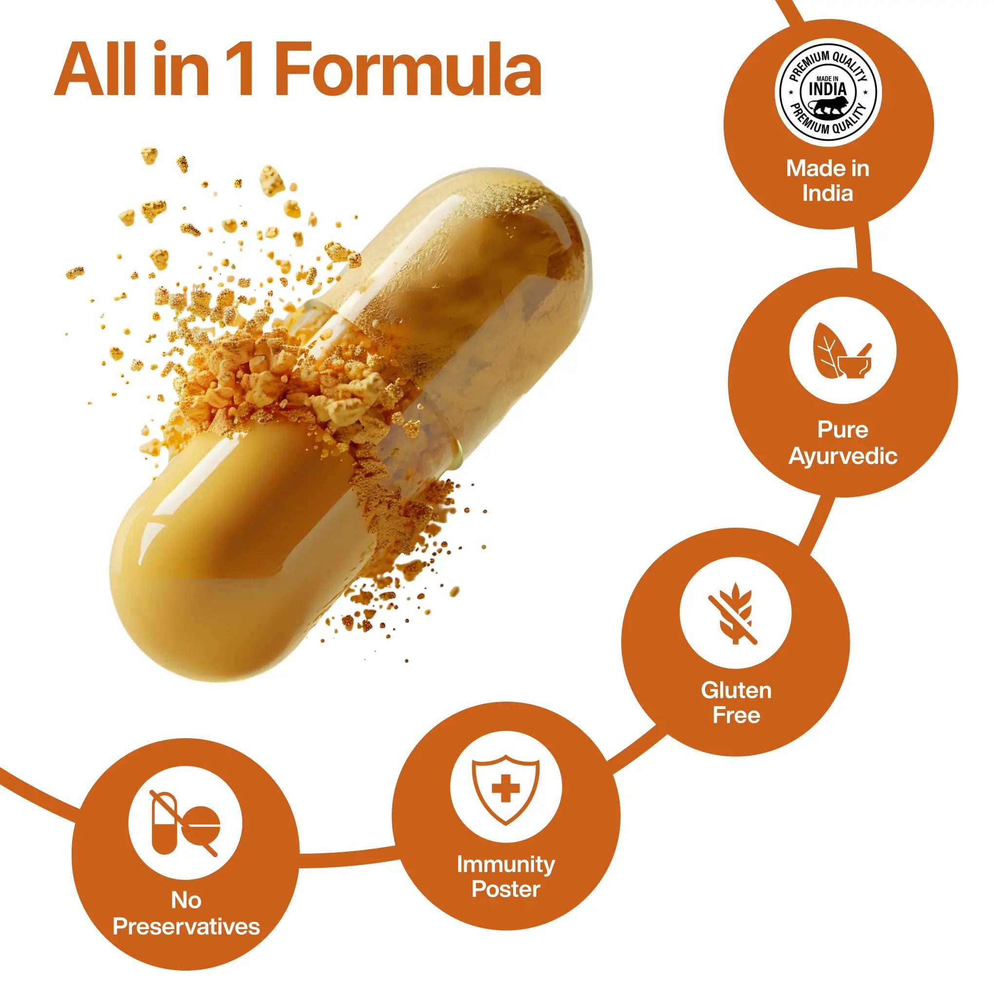 Liver Sanjeevani Ayurvedic Bhumi Amla Supplement with 650mg Herbs Extract | 30 tablets | India only