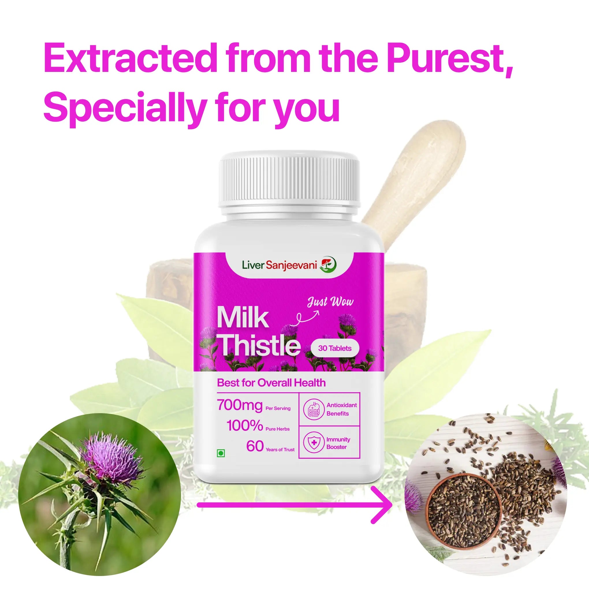 Liver Sanjeevani Milk Thistle - 650mg | Ayurvedic Supplement | Liver Health, Detox, Digestive Wellness