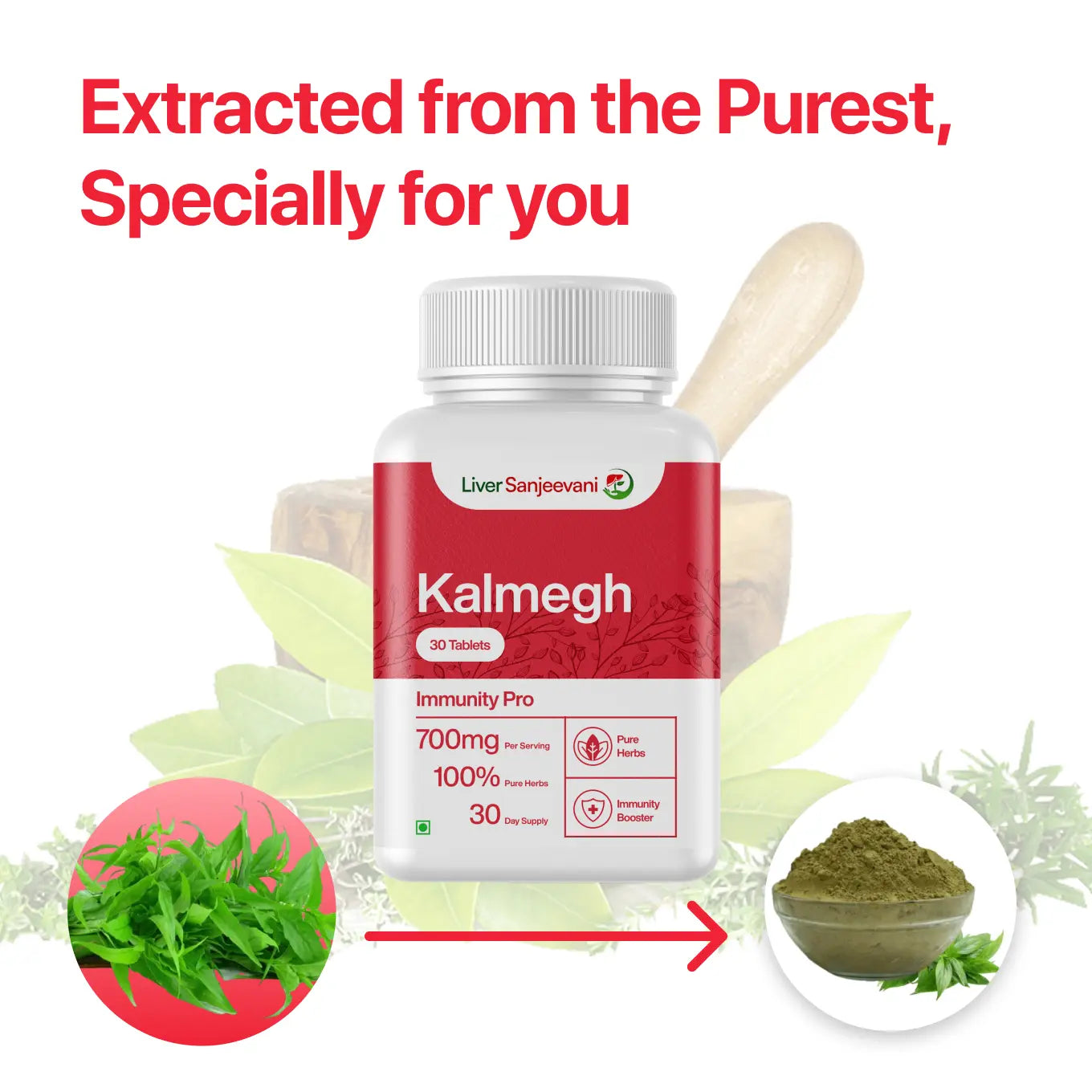 Kalmegh Ayurvedic Supplement with 650mg Herbs Extract | 30 tablets | India Only
