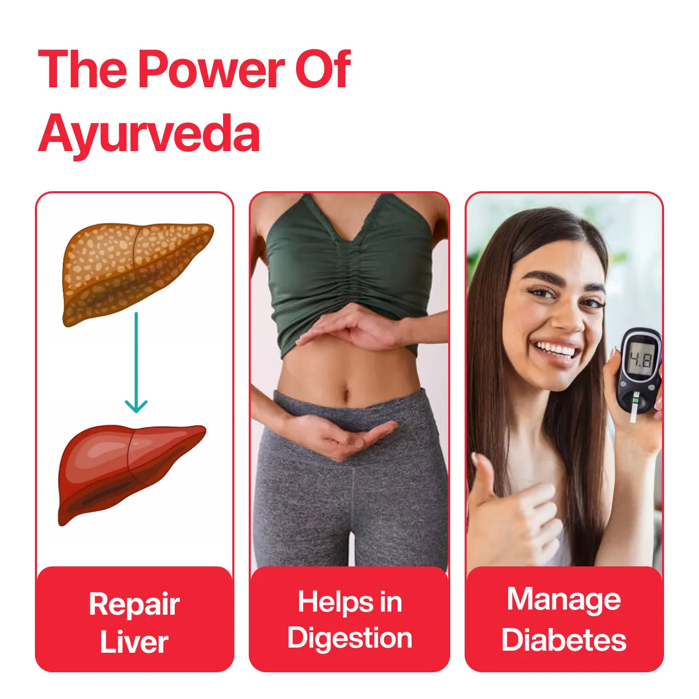 Kalmegh Ayurvedic Supplement with 650mg Herbs Extract | 30 tablets | India Only