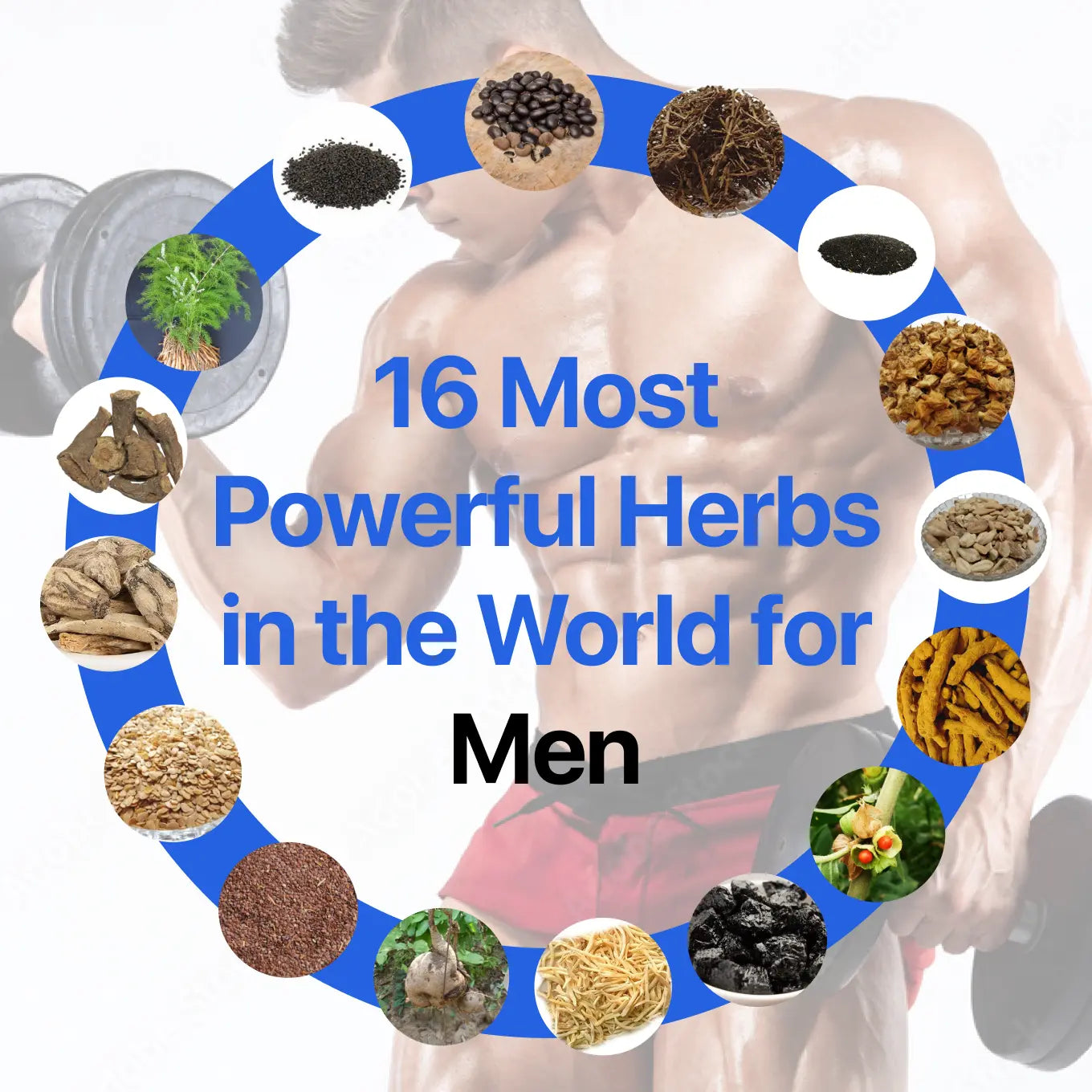 Vital Sanjeevani Ayurvedic Supplement with 650mg Herb Extracts | 30 Capsules | INDIA ONLY