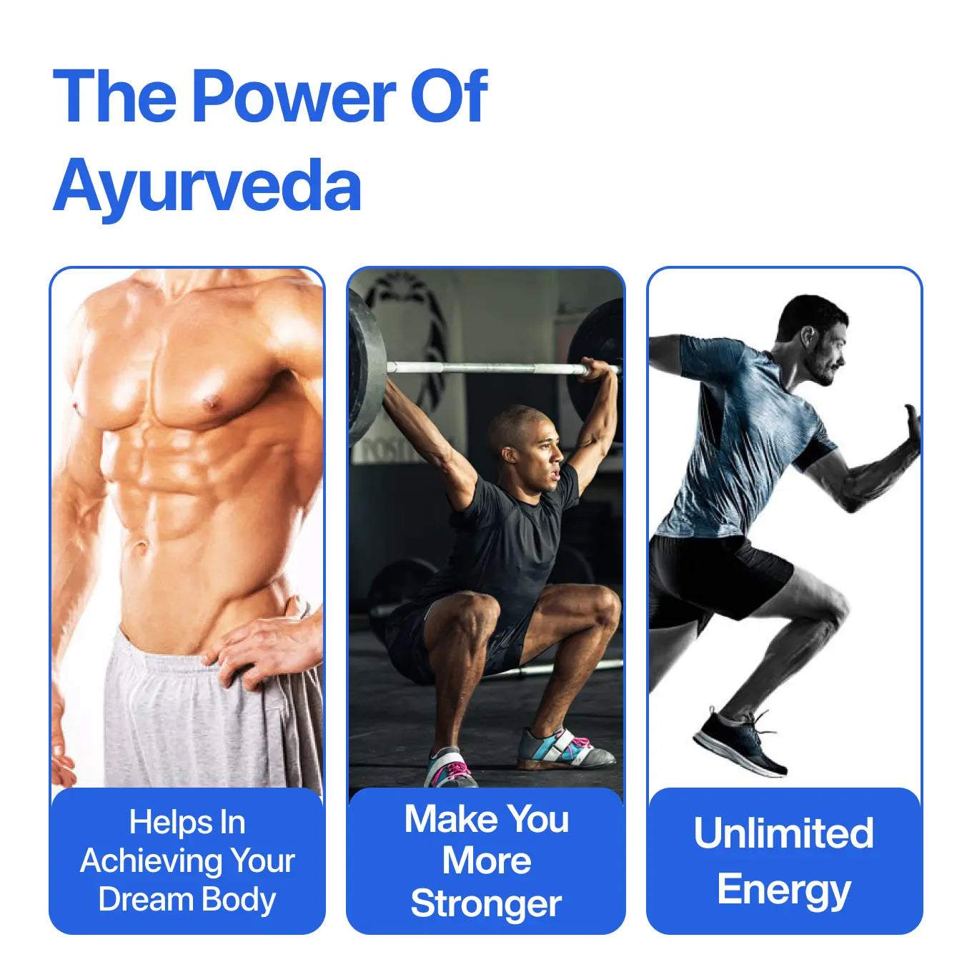 Vital Sanjeevani Ayurvedic Supplement with 650mg Herb Extracts | 30 Capsules | INDIA ONLY