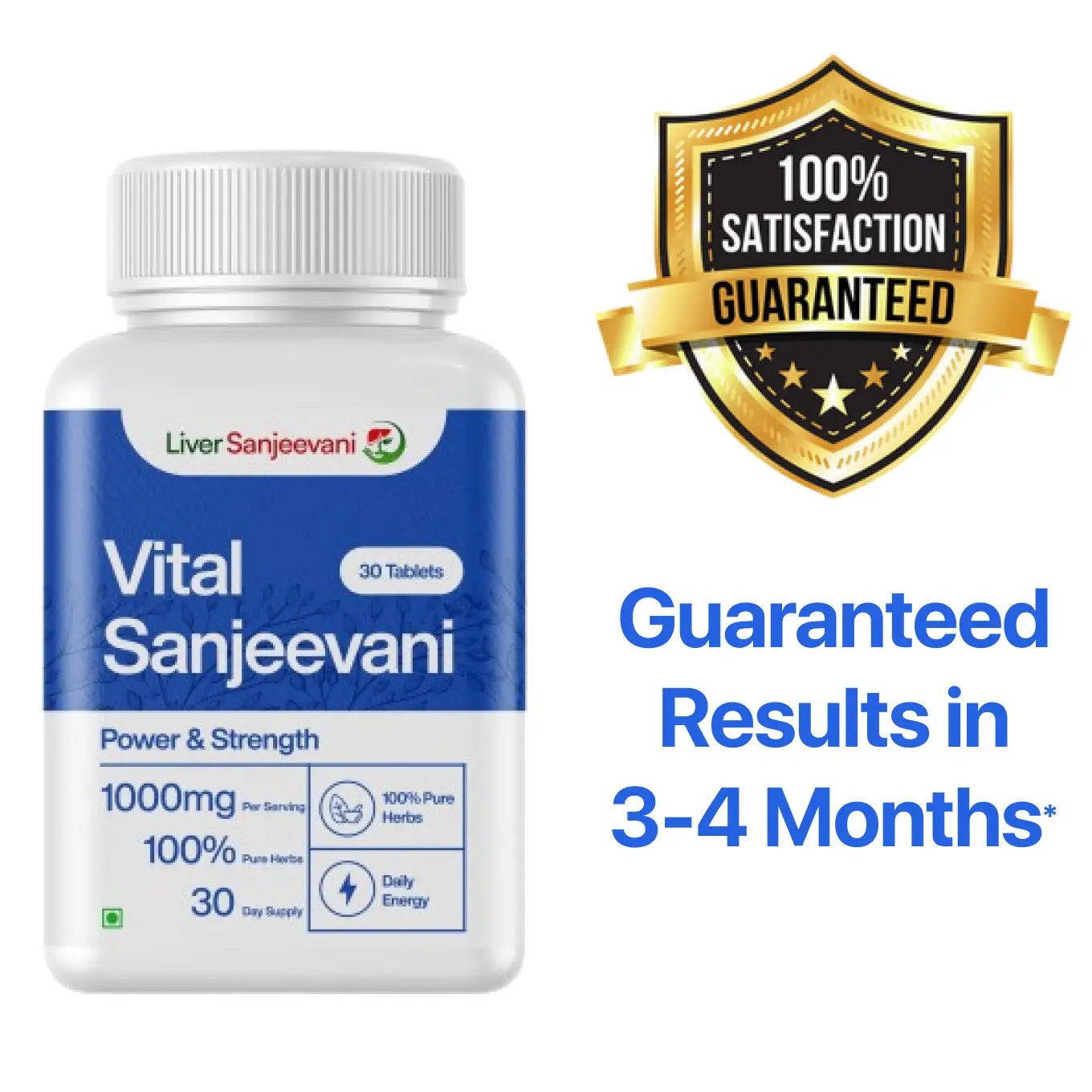 Vital Sanjeevani Ayurvedic Supplement with 650mg Herb Extracts | 30 Capsules | INDIA ONLY