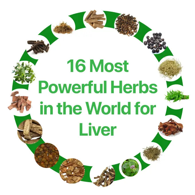 Liver Sanjeevani HB - 650mg Ayurvedic Herbs for Liver Support & Metabolism Boost | 30 Tablets